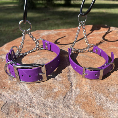 Waterproof Adjustable Martingale Dog Collar – No-Slip | Greyhound Whippet Sighthound