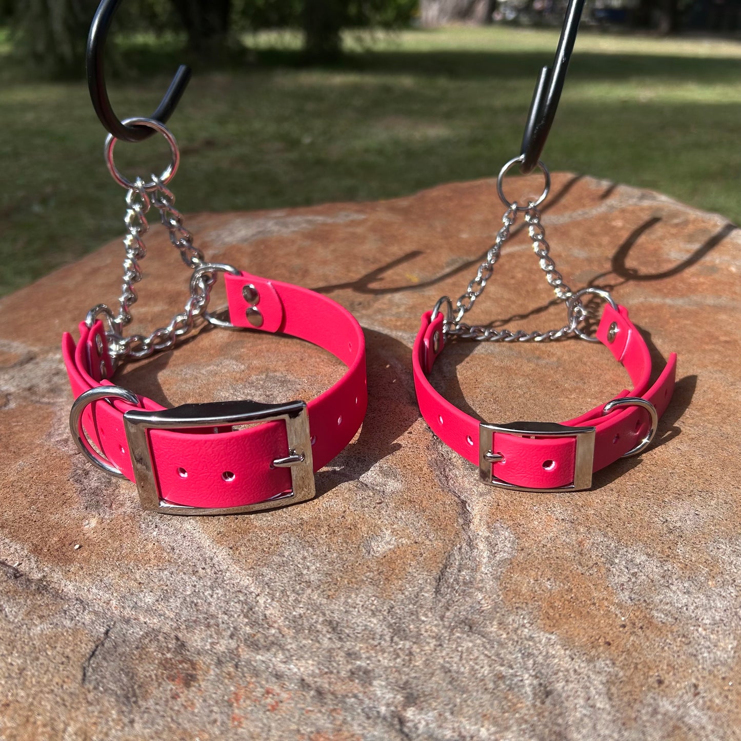 Waterproof Adjustable Martingale Dog Collar – No-Slip | Greyhound Whippet Sighthound