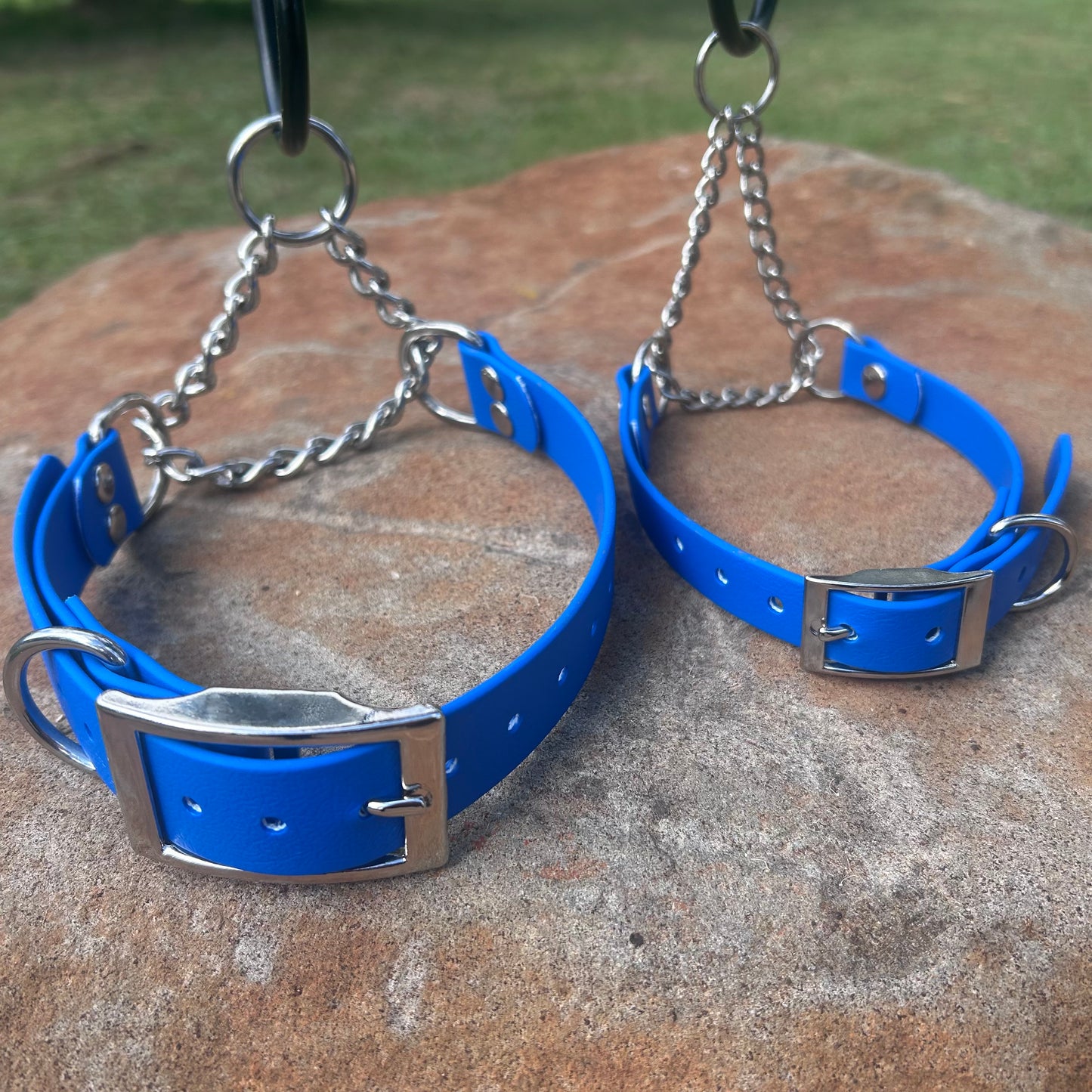 Waterproof Adjustable Martingale Dog Collar – No-Slip | Greyhound Whippet Sighthound