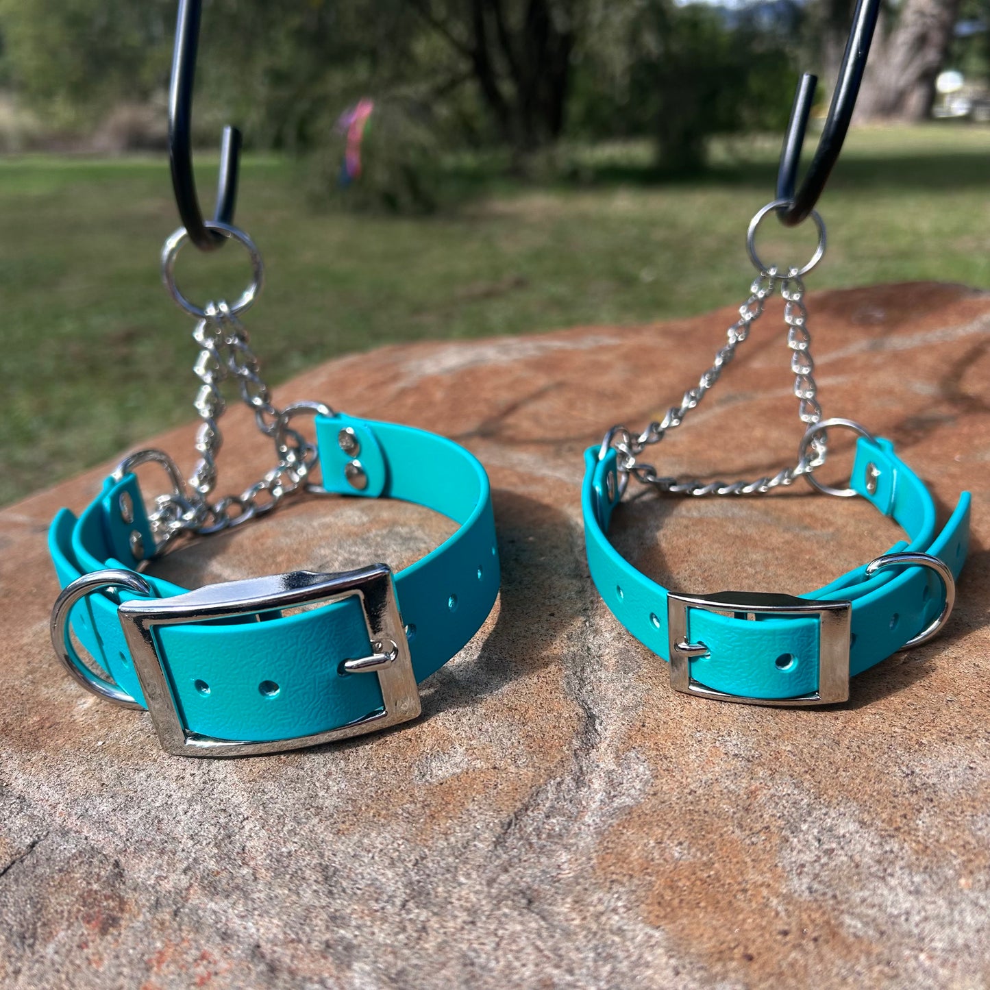 Waterproof Adjustable Martingale Dog Collar – No-Slip | Greyhound Whippet Sighthound