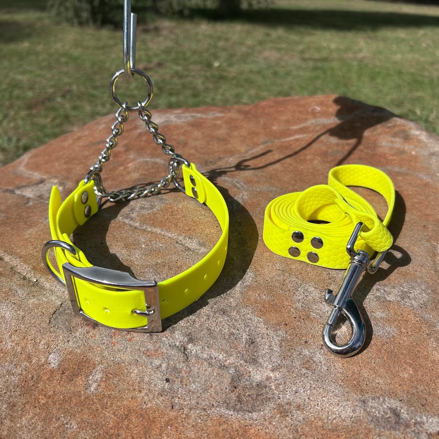 Waterproof Martingale Collar and Lead Set – Adjustable No-Slip | Sighthound Bundle