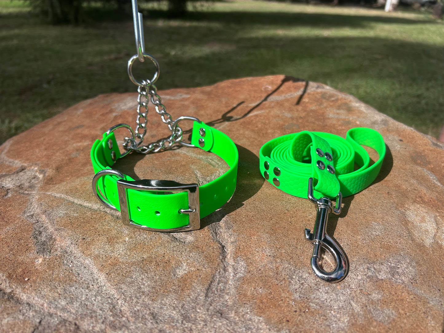 Waterproof Martingale Collar and Lead Set – Adjustable No-Slip | Sighthound Bundle