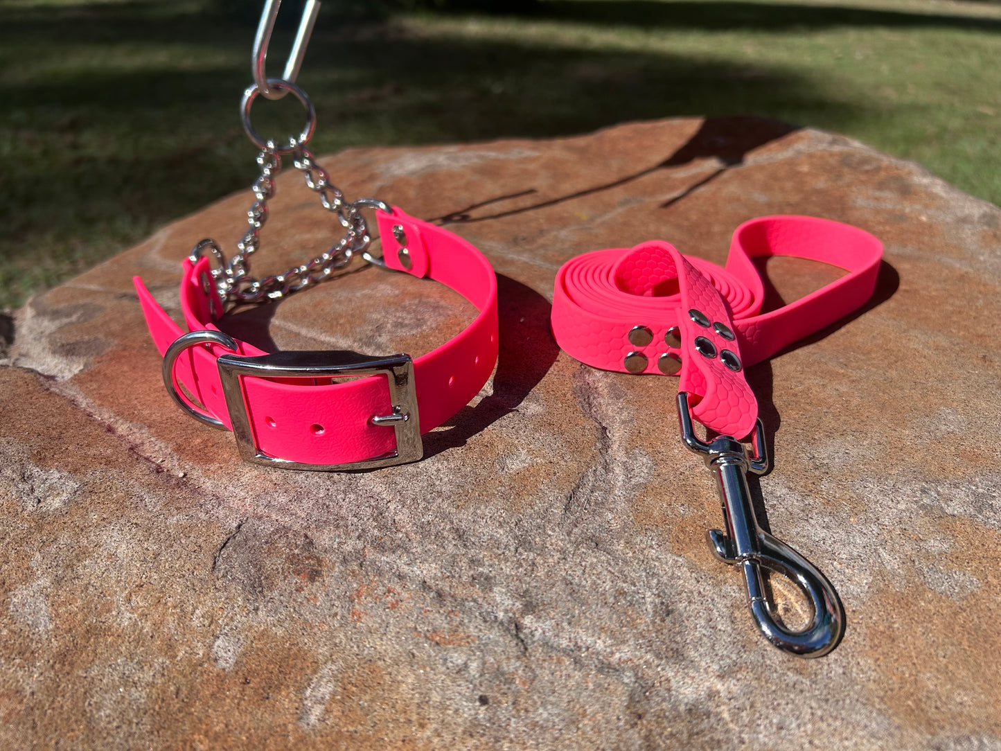 Waterproof Martingale Collar and Lead Set – Adjustable No-Slip | Sighthound Bundle