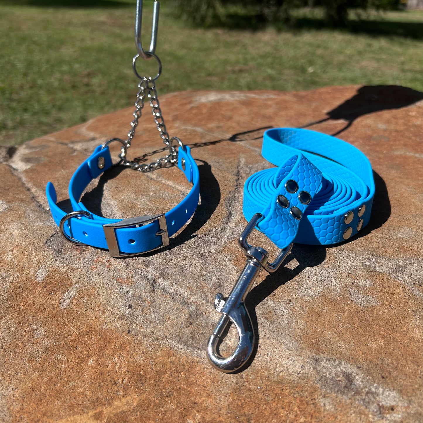 Waterproof Martingale Collar and Lead Set – Adjustable No-Slip | Sighthound Bundle