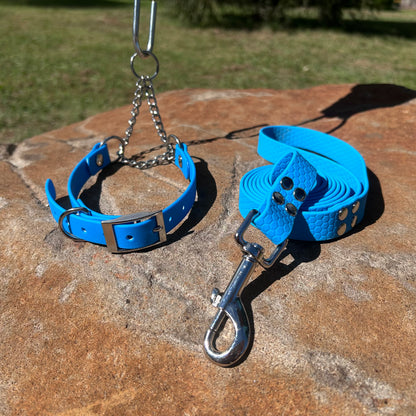Waterproof Martingale Collar and Lead Set – Adjustable No-Slip | Sighthound Bundle