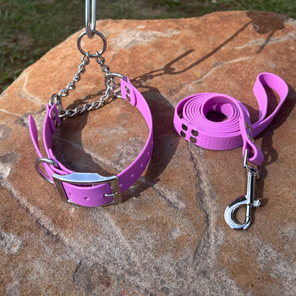 Waterproof Martingale Collar and Lead Set – Adjustable No-Slip | Sighthound Bundle