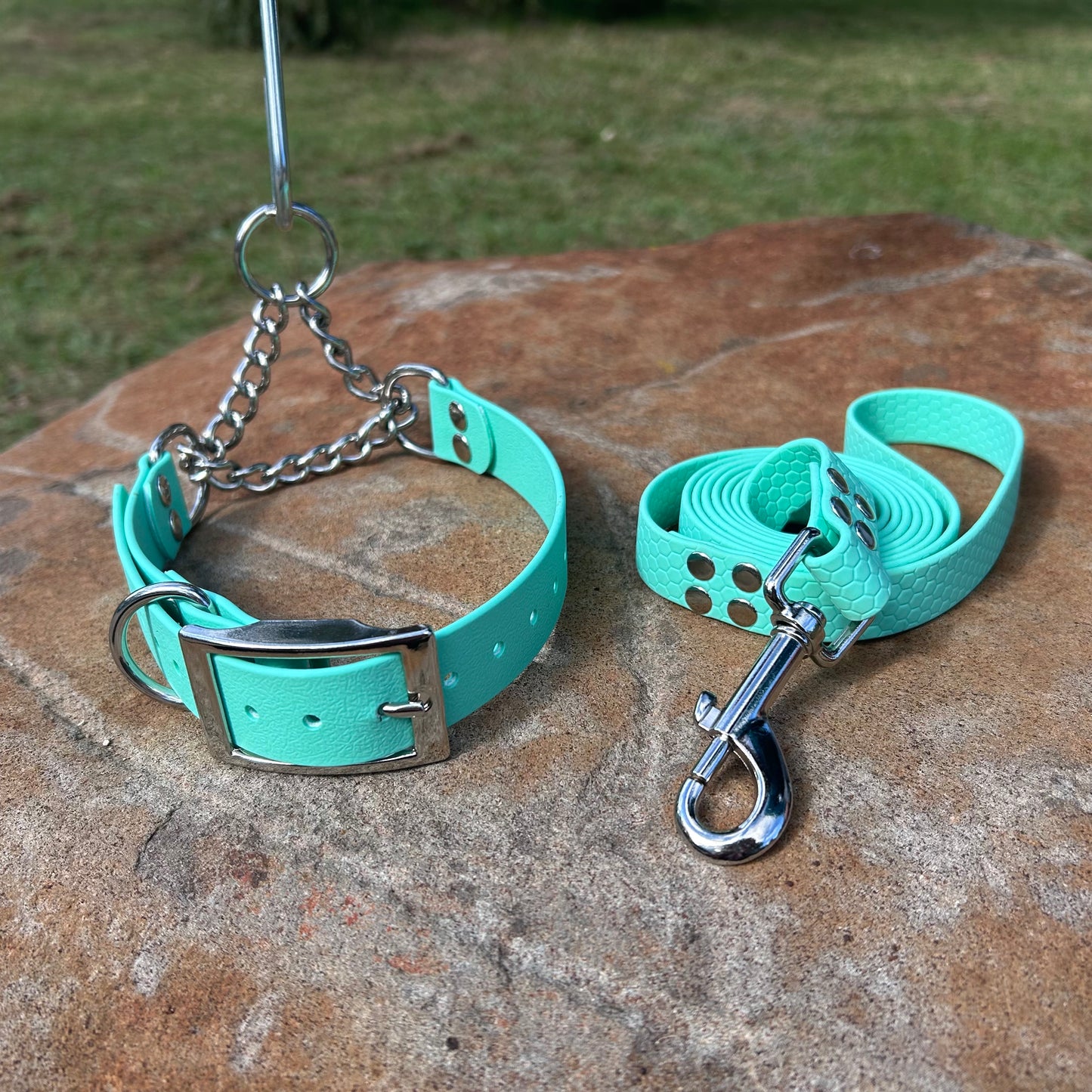 Waterproof Martingale Collar and Lead Set – Adjustable No-Slip | Sighthound Bundle
