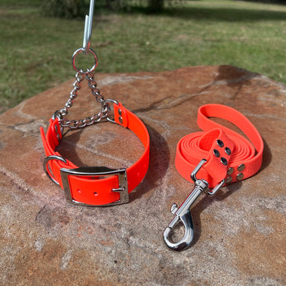 Waterproof Martingale Collar and Lead Set – Adjustable No-Slip | Sighthound Bundle