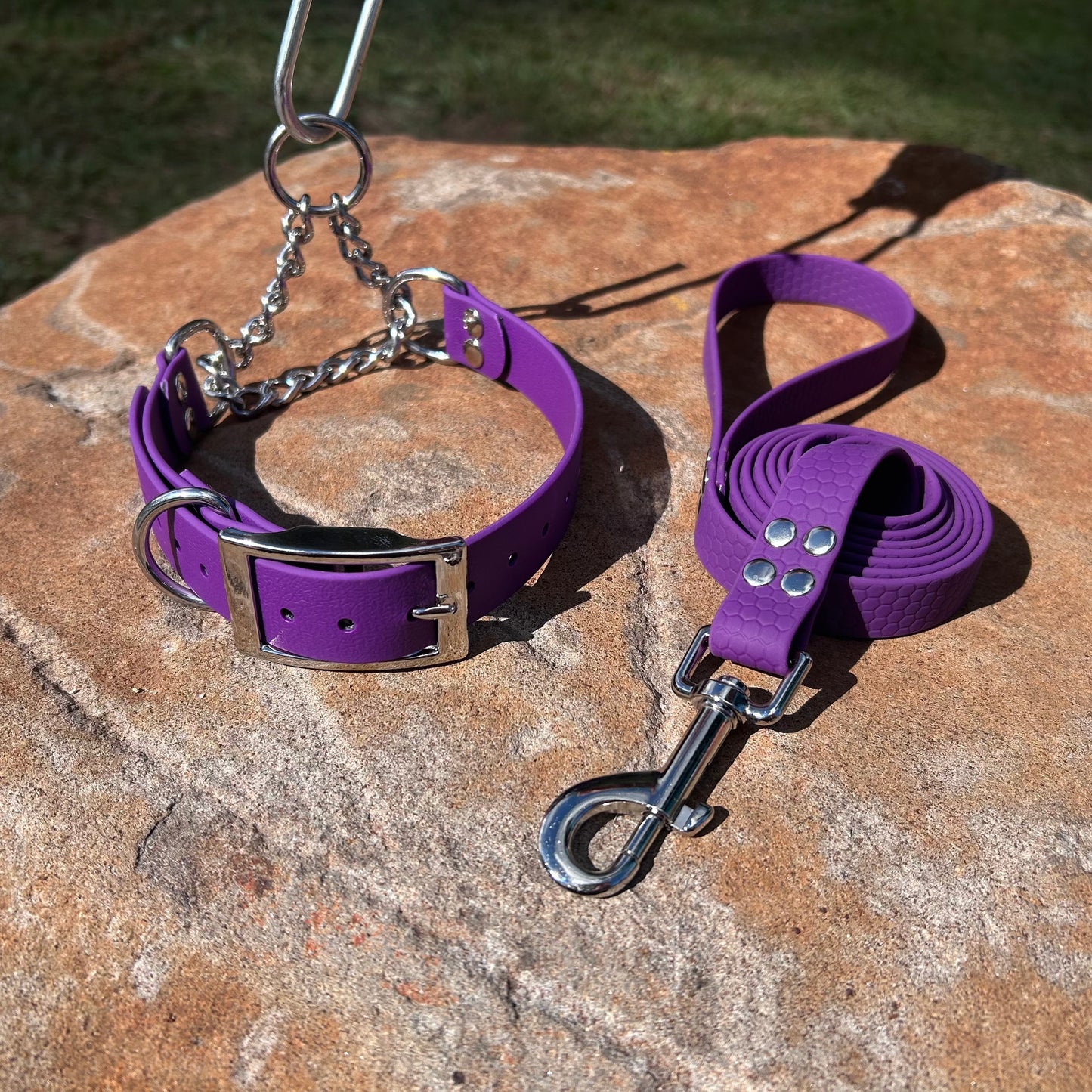 Waterproof Martingale Collar and Lead Set – Adjustable No-Slip | Sighthound Bundle