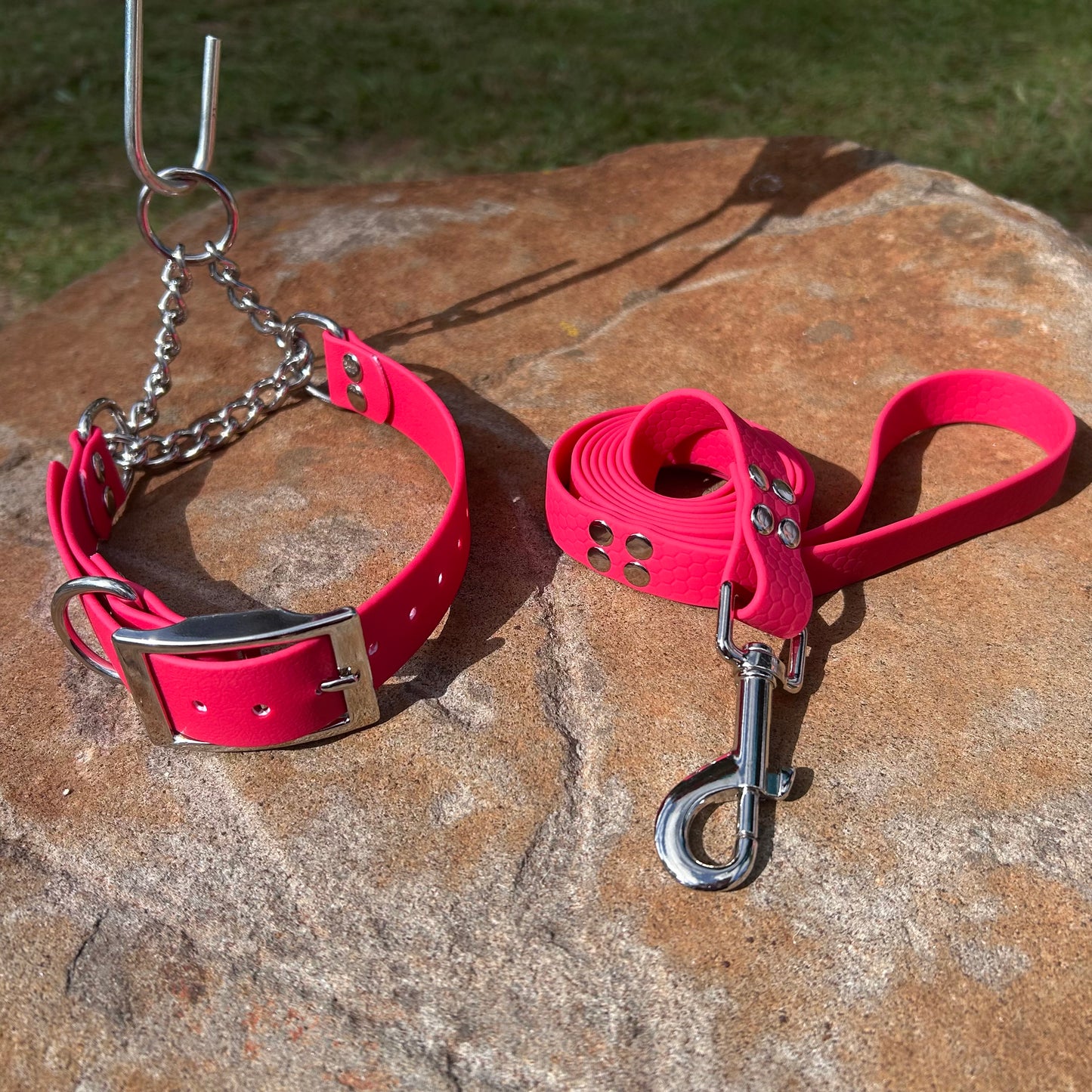 Waterproof Martingale Collar and Lead Set – Adjustable No-Slip | Sighthound Bundle