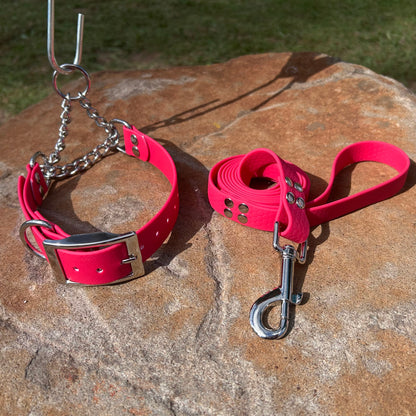 Waterproof Martingale Collar and Lead Set – Adjustable No-Slip | Sighthound Bundle