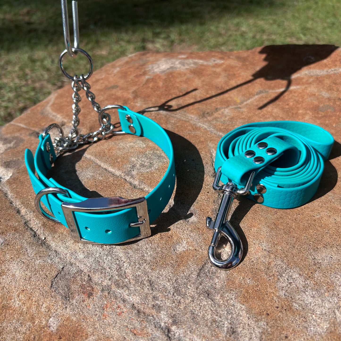Waterproof Martingale Collar and Lead Set – Adjustable No-Slip | Sighthound Bundle