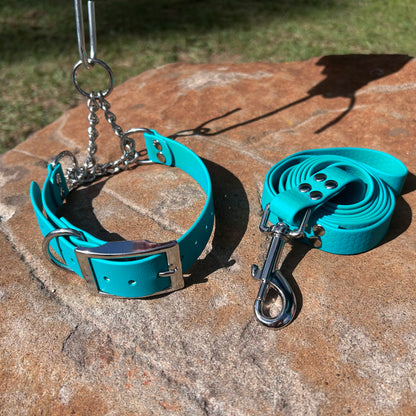 Waterproof Martingale Collar and Lead Set – Adjustable No-Slip | Sighthound Bundle