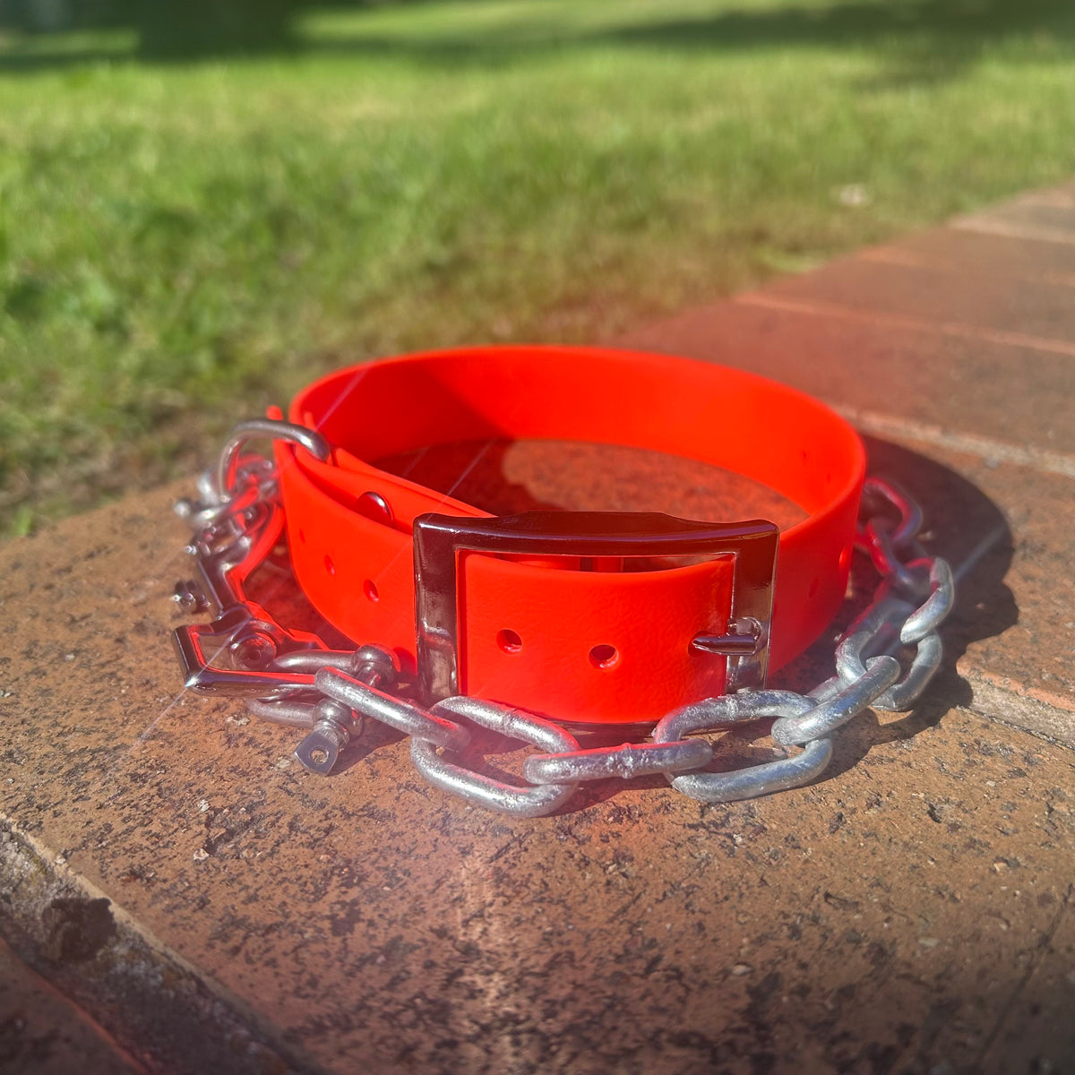 Orange working dog collar with galvanised tie-up chain and snap clip