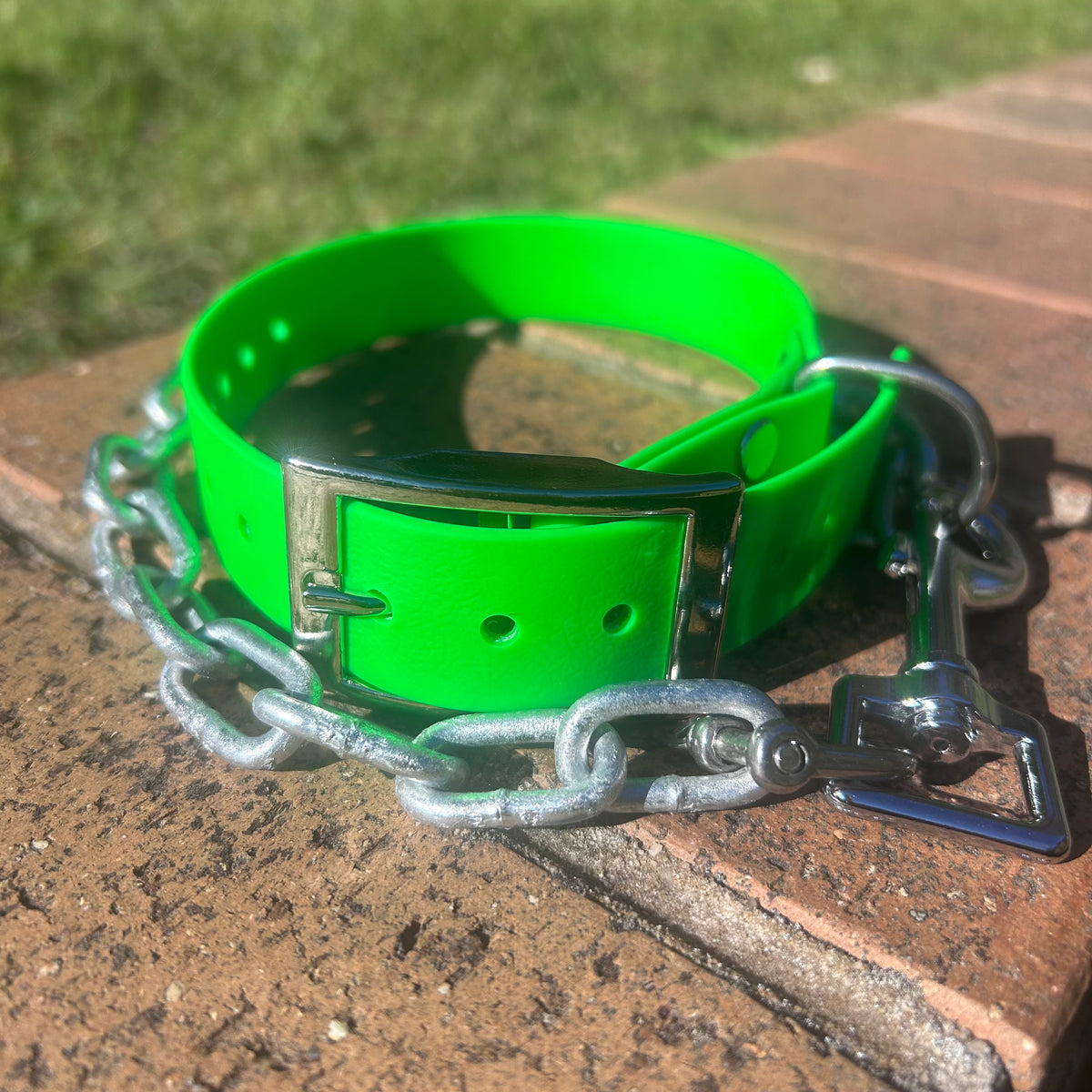 Green working dog collar with the tie-up chain wrapped around the collar