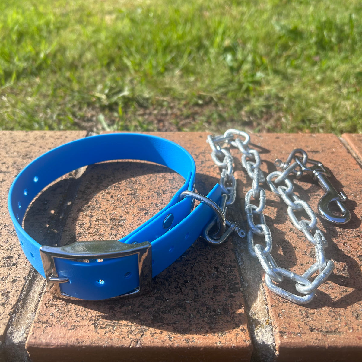 Blue working dog collar with tie-up chain and snap clip
