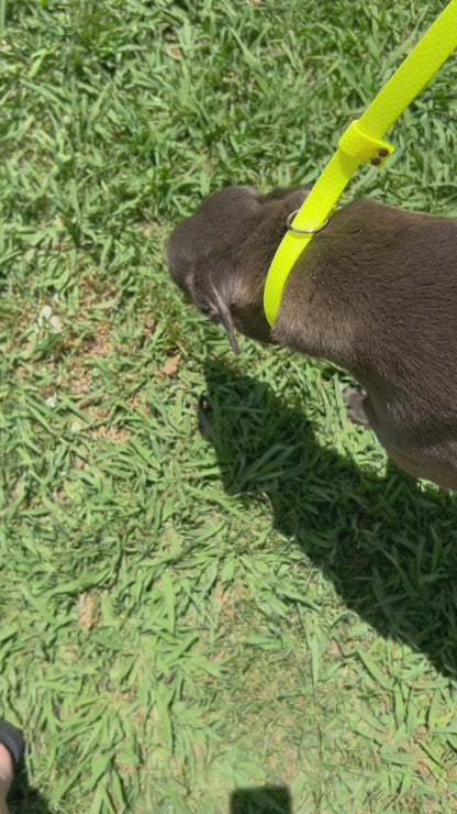 Waterproof Dog Slip Lead – 1.25m | Vet & Training Lead Australia