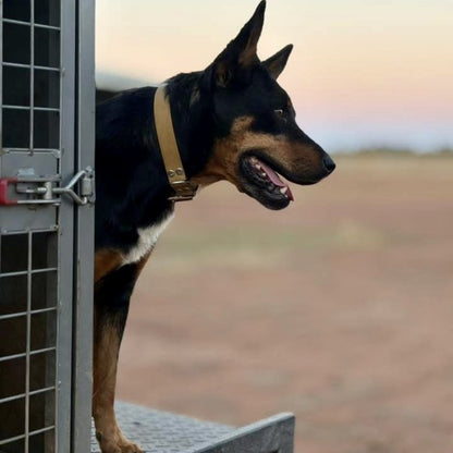 Waterproof Dog Collar – Heavy Duty PVC | Handmade in Australia